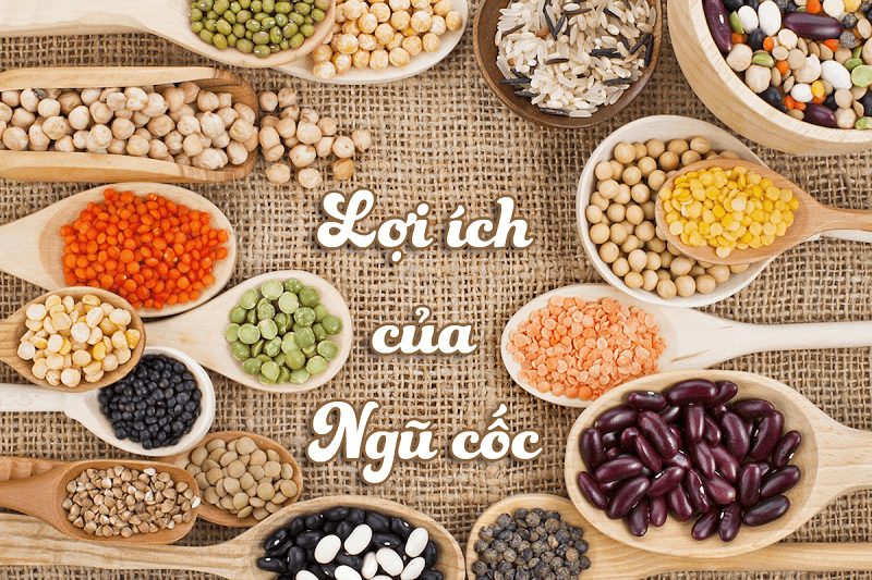 Gửi Bột Ngũ Cốc Đi Đức Từ Nghệ An 