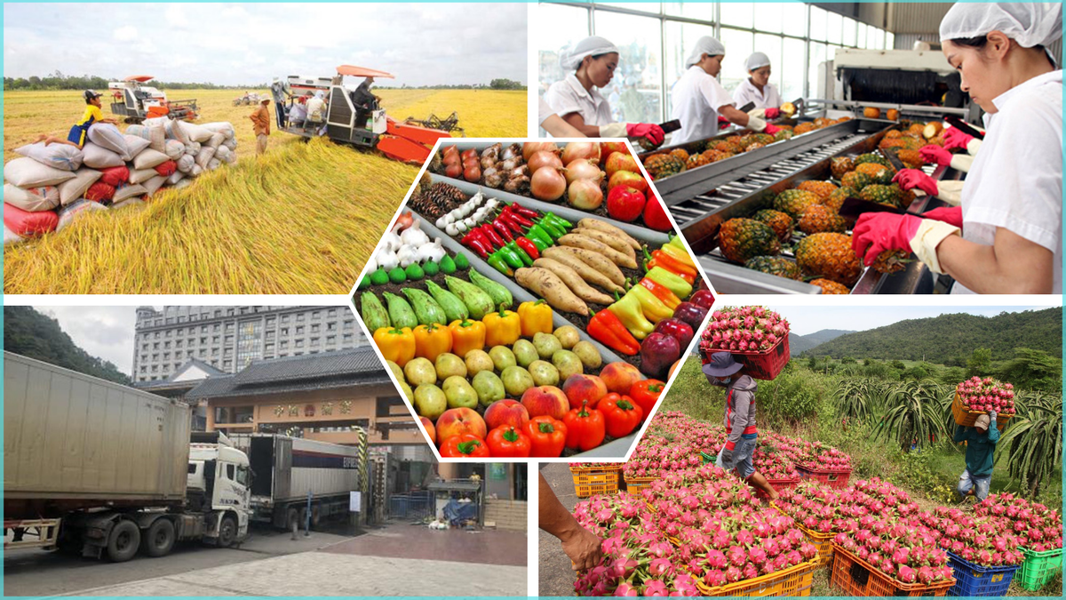 Logistics – “Xương sống” mới của chuỗi giá trị nông sản Việt