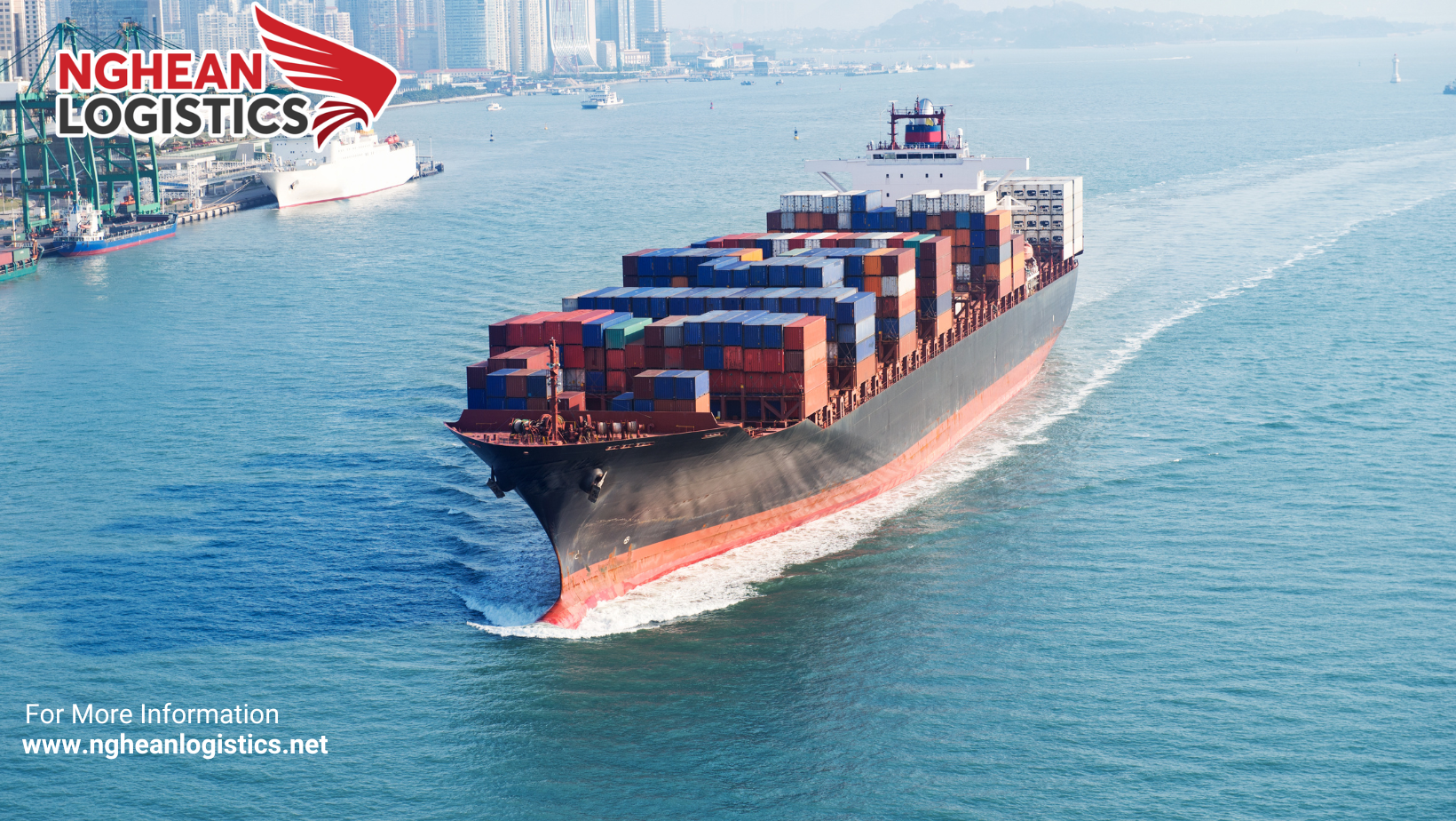 GIỚI THIỆU CÁC HÃNG TÀU Ở HỒNG KÔNG | 2025