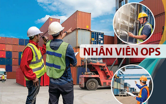 Phân biệt giữa nhân viên hiện trường (OPS) và nhân viên chứng từ (DOCS)