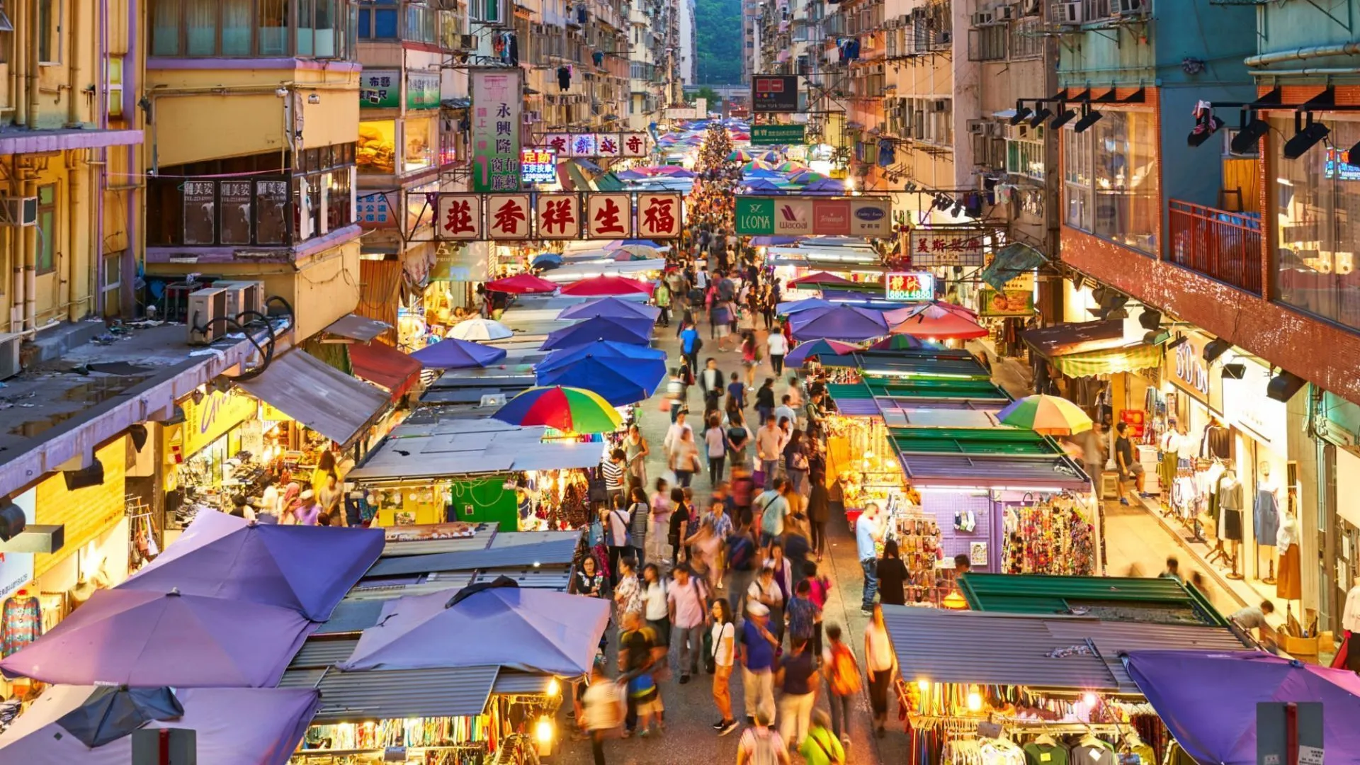 Chợ Cá Vàng Mong Kok – Thiên đường sắc màu của thủy sinh Hồng Kông