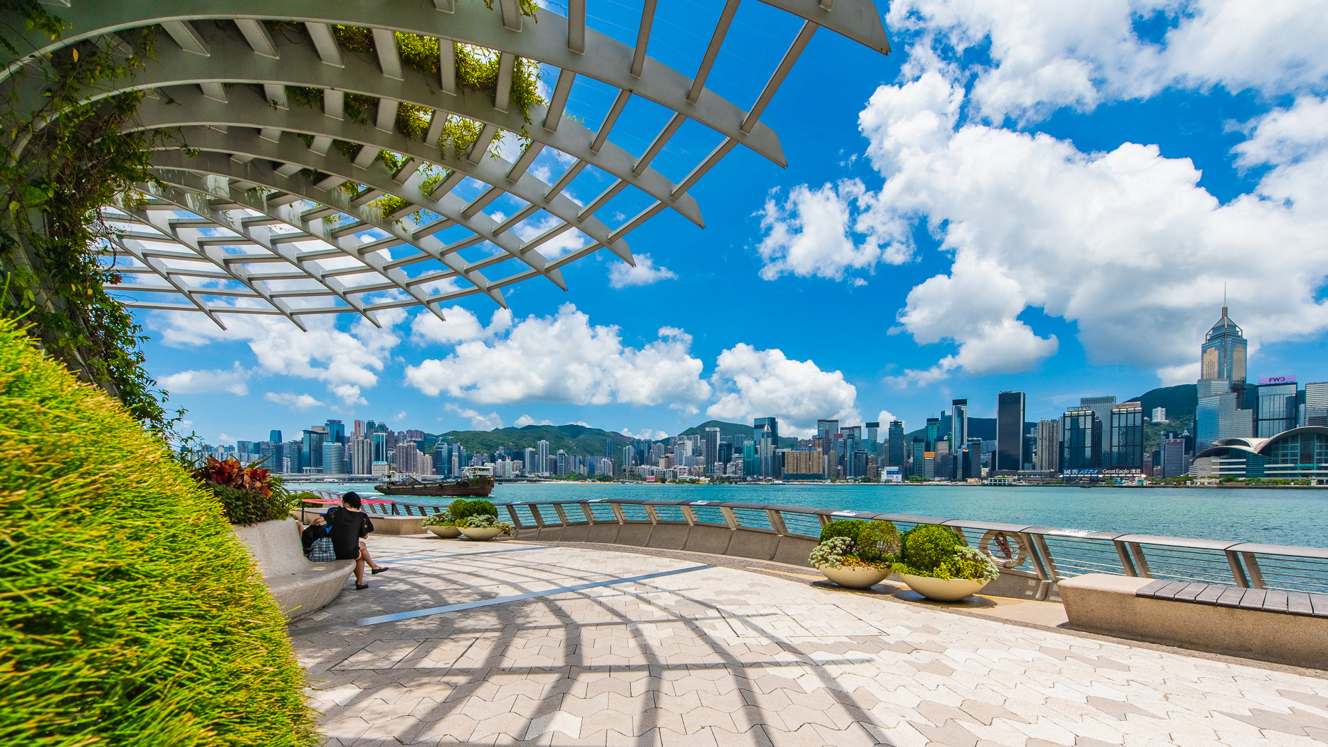 Hong Kong về đêm – 10 trải nghiệm không thể bỏ lỡ