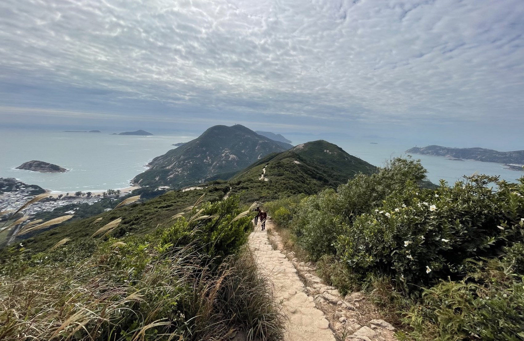 Hành trình trekking Dragon’s Back – Cung đường leo núi nổi tiếng
