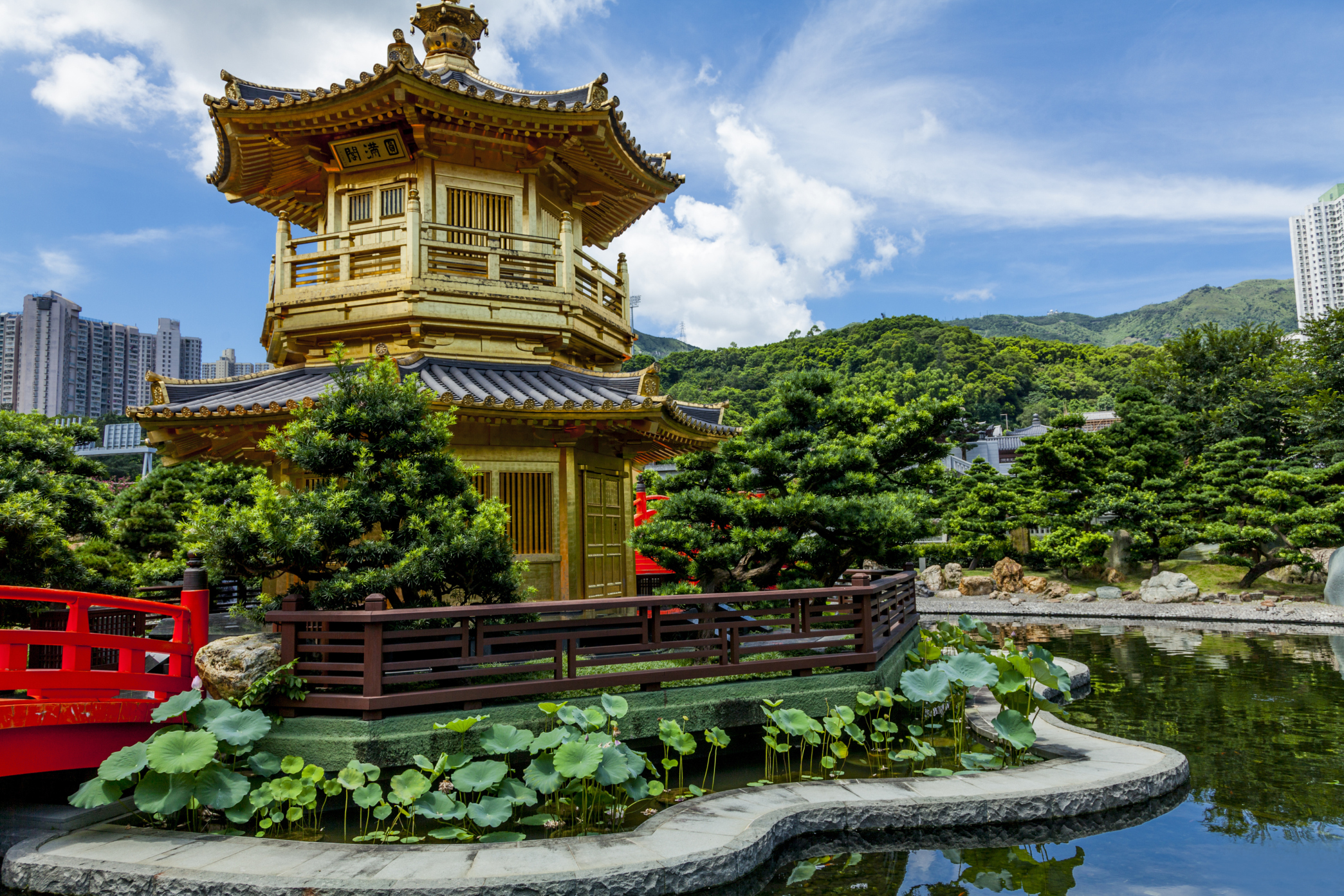 Chi Lin Nunnery – Ốc Đảo Tĩnh Lặng Giữa Thành Phố