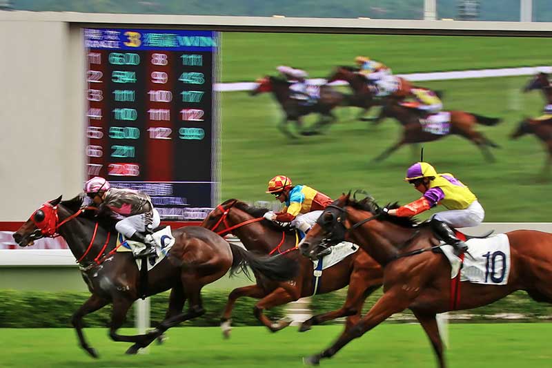 Trường Đua Happy Valley – Nơi cá cược gắn liền nhịp sống đô thị