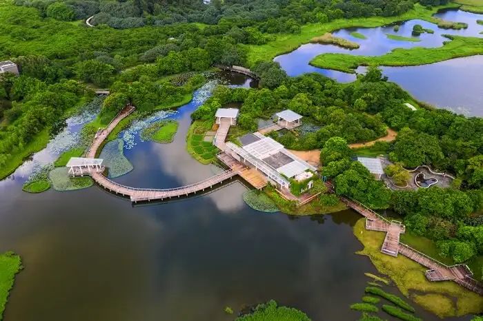 Hong Kong Wetland Park – Thiên nhiên giữa đô thị