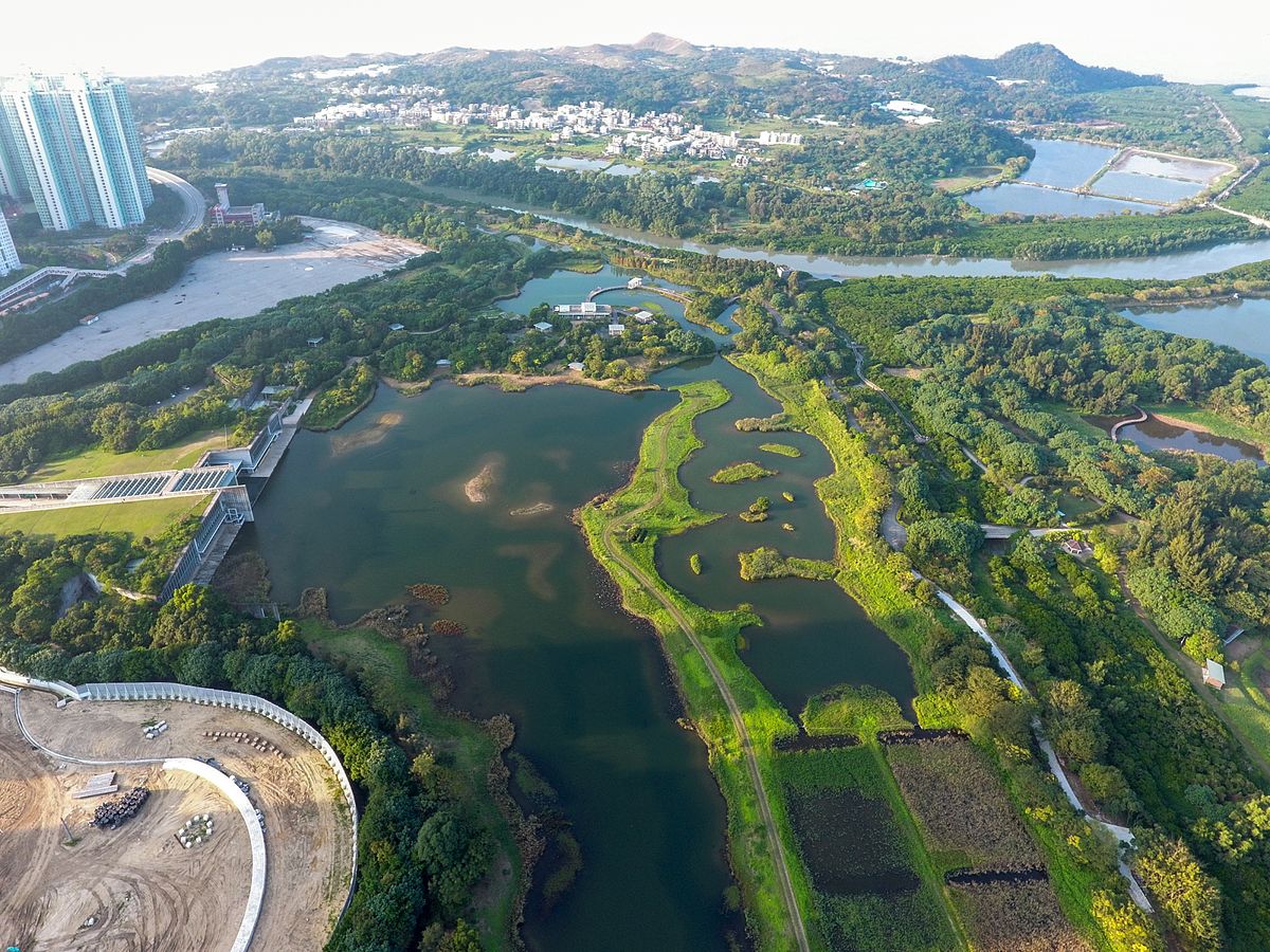 Hong Kong Wetland Park – Thiên nhiên giữa đô thị