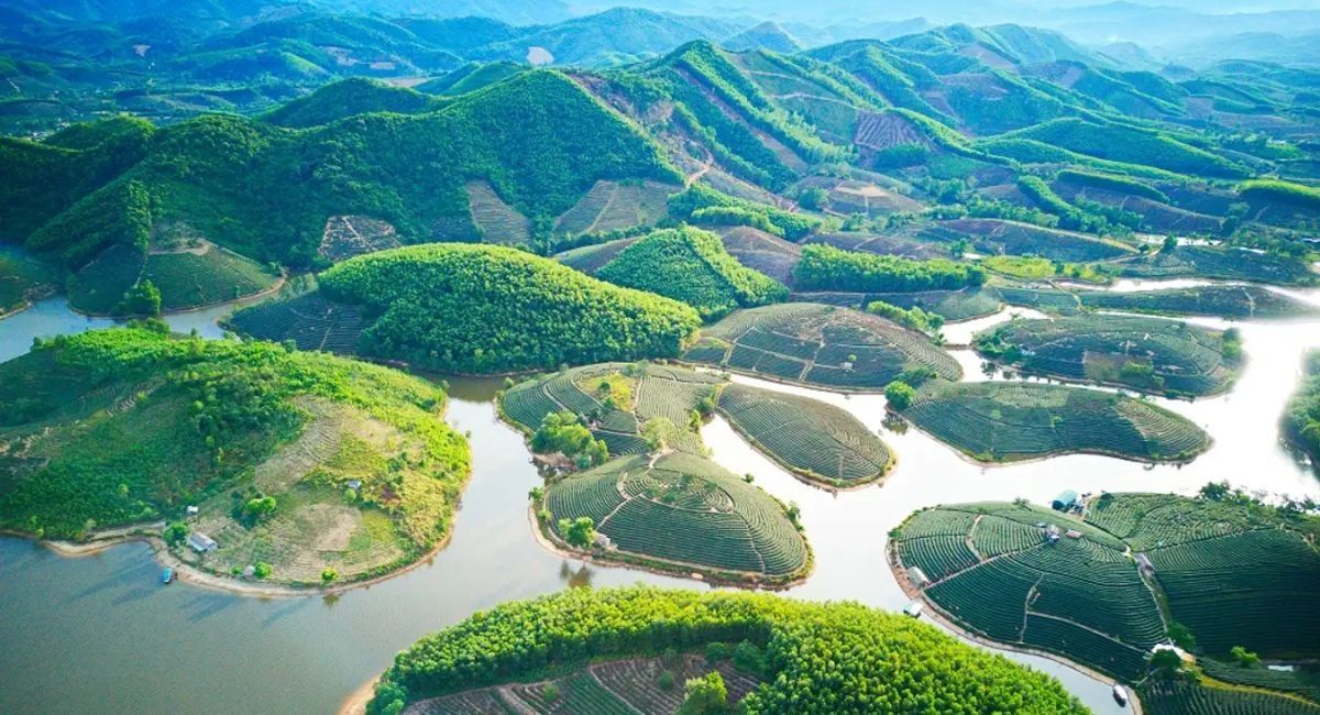 CẨM NANG DU LỊCH ĐỒI CHÈ THANH CHƯƠNG NGHỆ AN CẨM NANG DU LỊCH ĐỒI CHÈ THANH CHƯƠNG NGHỆ AN