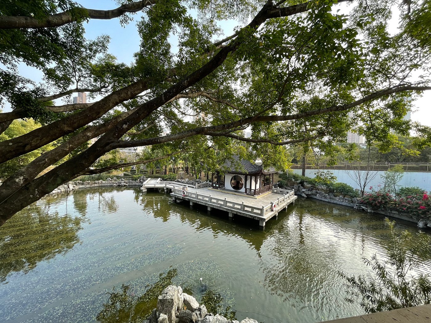 Công Viên Cửu Long Trại Thành: Góc Tĩnh Lặng Giữa Hồng Kông