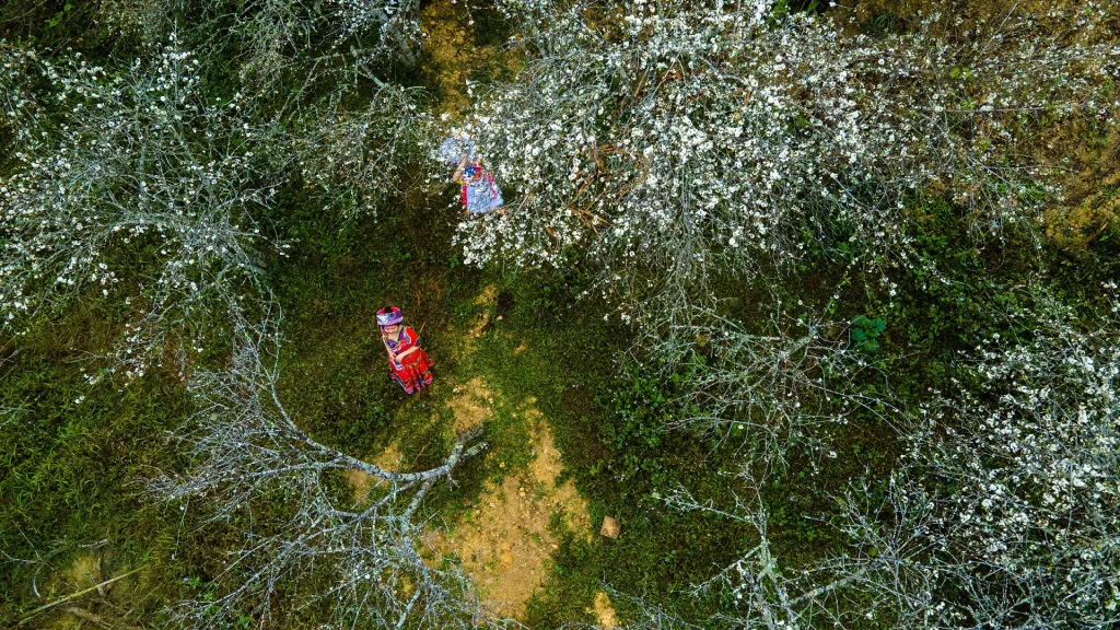 Mường Lống Kỳ Sơn: Cổng Trời Huyền Sỹ Giữa Lòng Nghệ An