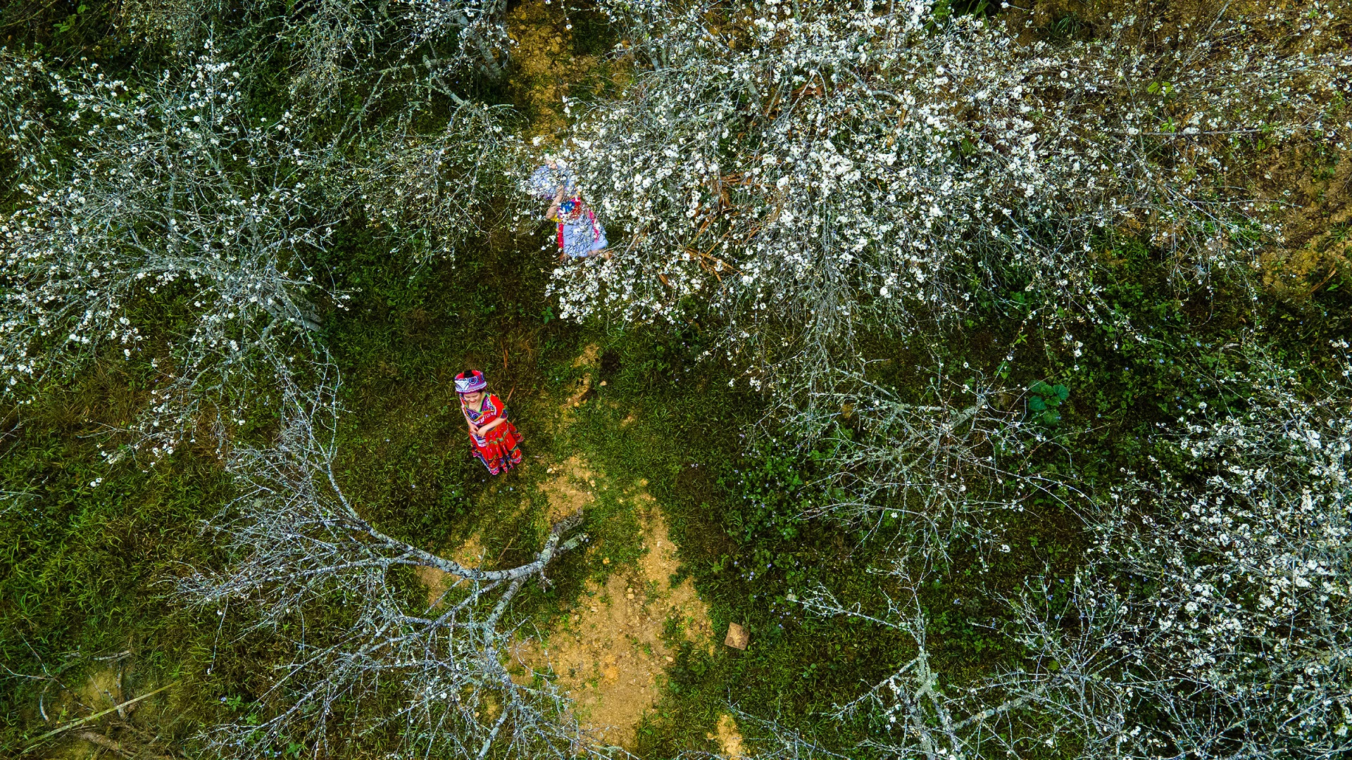 Mường Lống Kỳ Sơn: Cổng Trời Huyền Sỹ Giữa Lòng Nghệ An