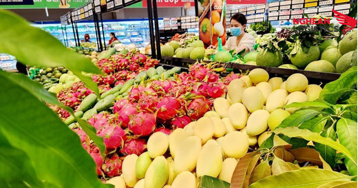 Người Hàn Quốc Thích Mua Những Sản Phẩm Việt Nam Nào?