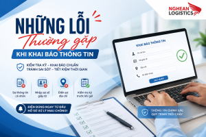 Những Lỗi Thường Gặp Khi Khai Báo Thông Tin