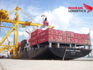 Những Lỗi Thường Gặp Khi Khai Báo Thông Tin