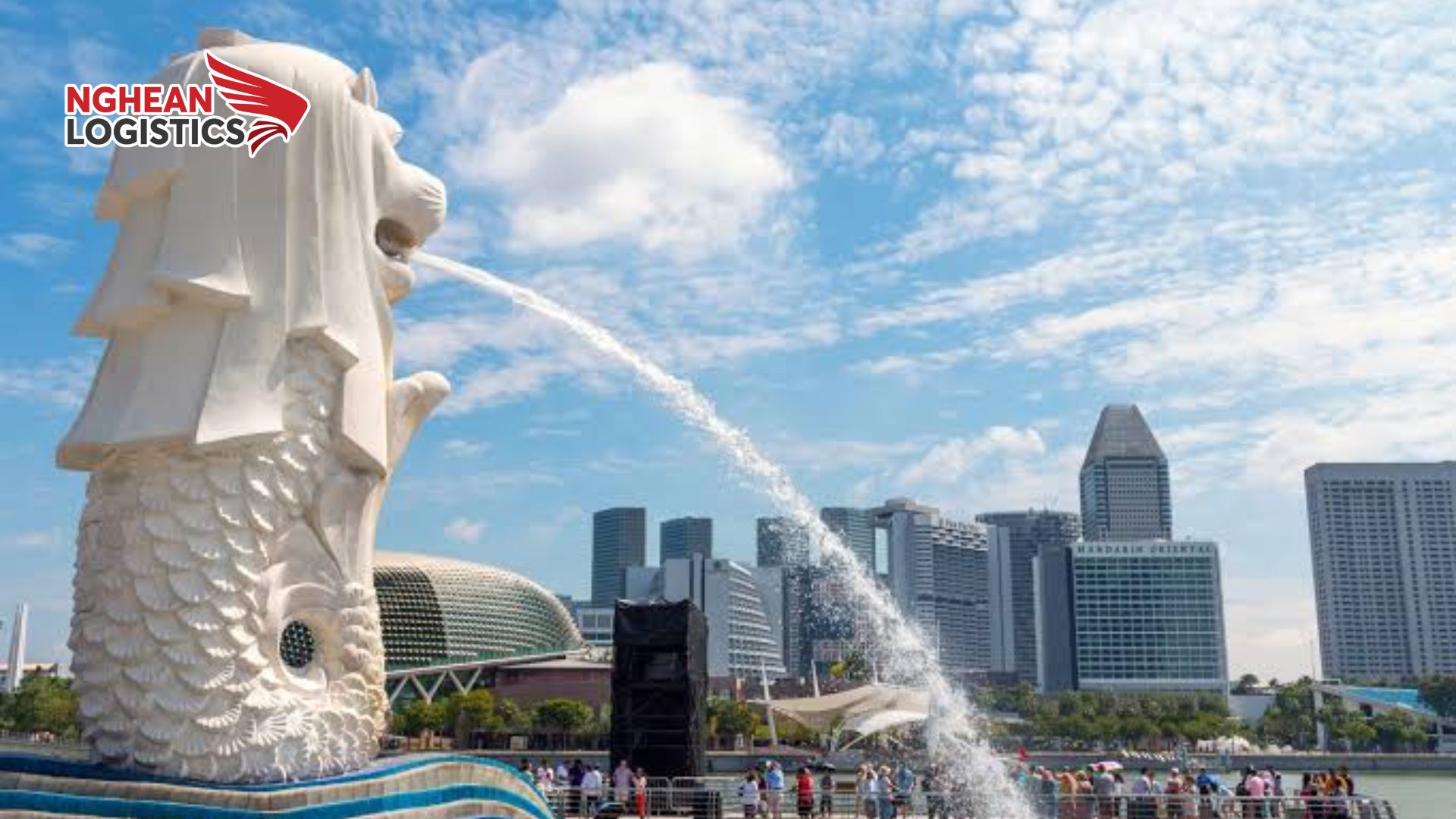 Gửi hàng đi Singapore chỉ từ $5 SGD/k. Hướng dẫn chi tiết Gửi hàng đi Singapore chỉ từ $5 SGD/k. Hướng dẫn chi tiết