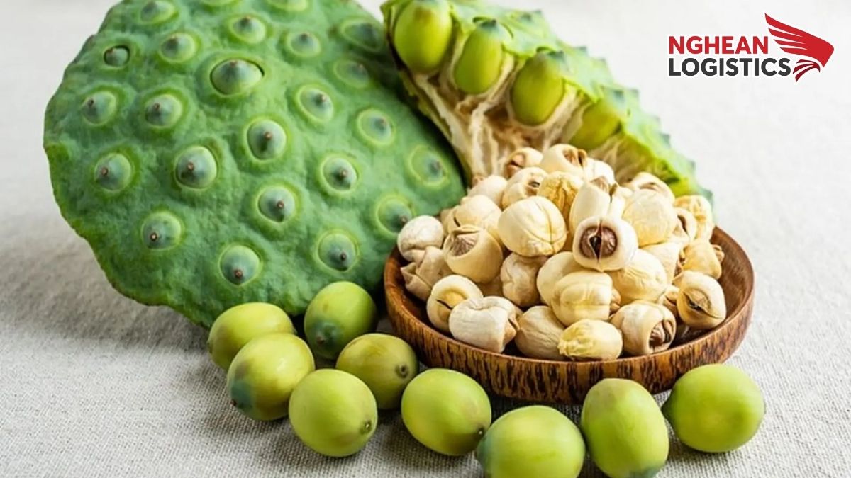 Kinh nghiệm gửi hạt sen đi Úc Kinh nghiệm gửi hạt sen đi Úc